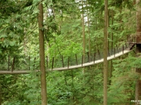 17528CrLe - Capilano Suspension Bridge, Vancouver   Each New Day A Miracle  [  Understanding the Bible   |   Poetry   |   Story  ]- by Pete Rhebergen